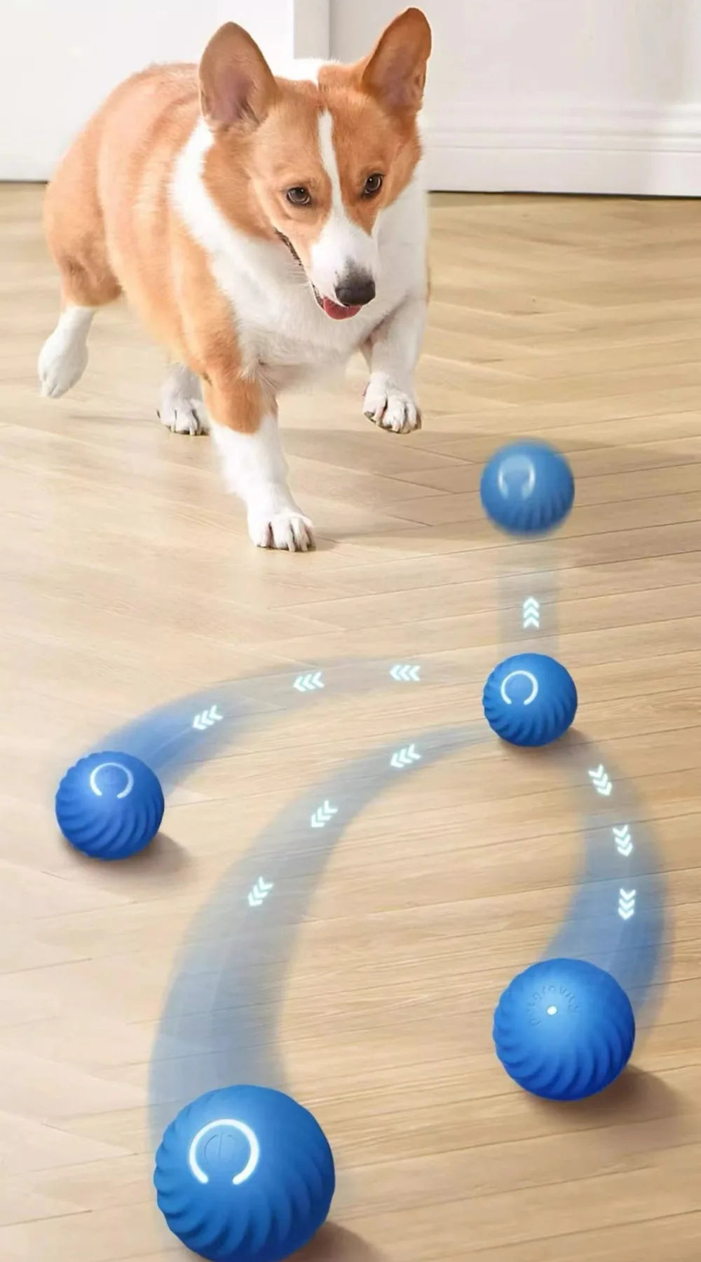 Smart Dog Toy Ball