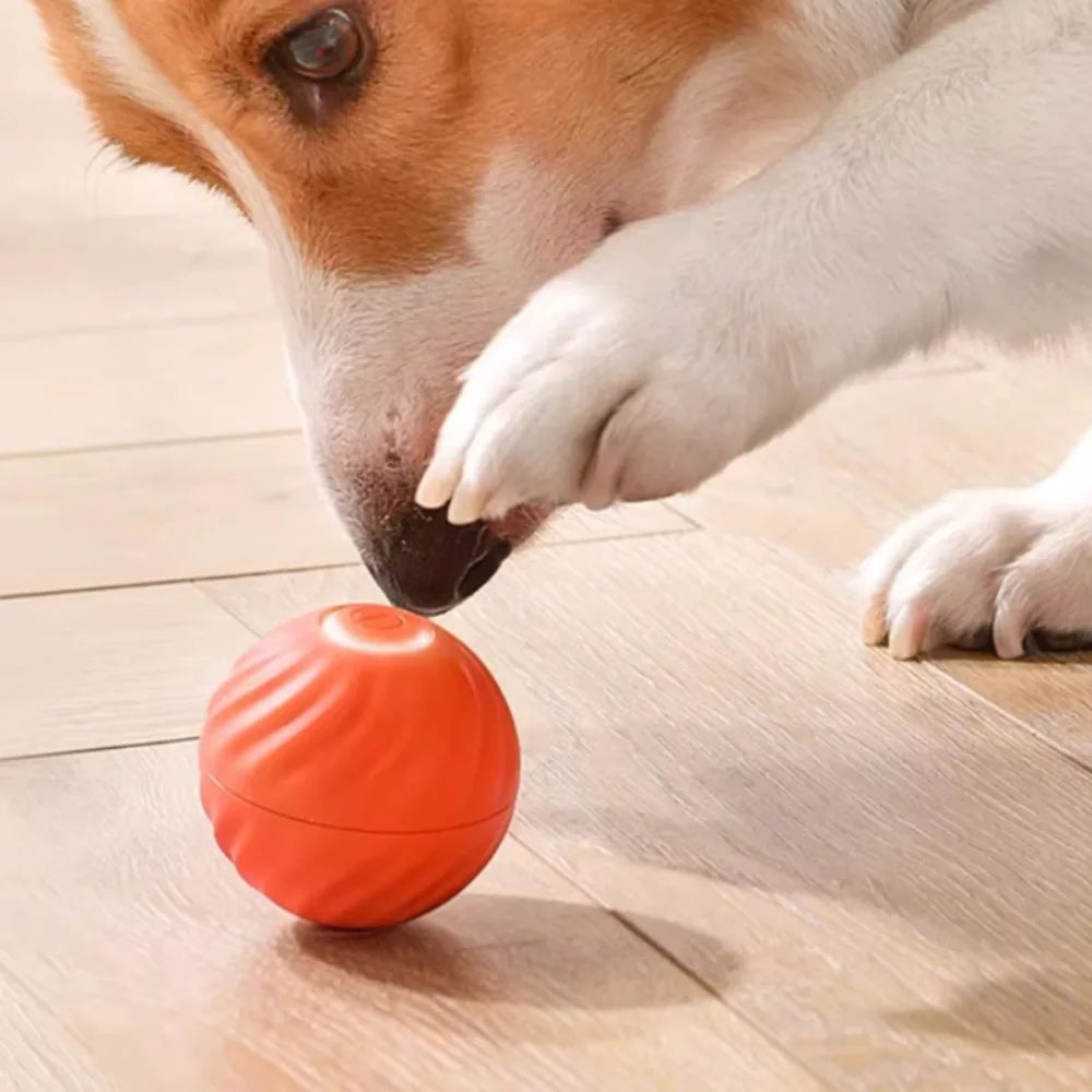 Smart Dog Toy Ball