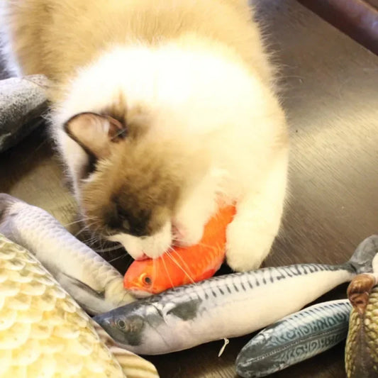 Catnip Fish Toy